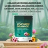 AltruLab Lymphatic Drainage 21-in-1 Botanical Formula