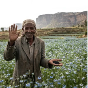 Wimast® Ethiopian Black Seed Oil